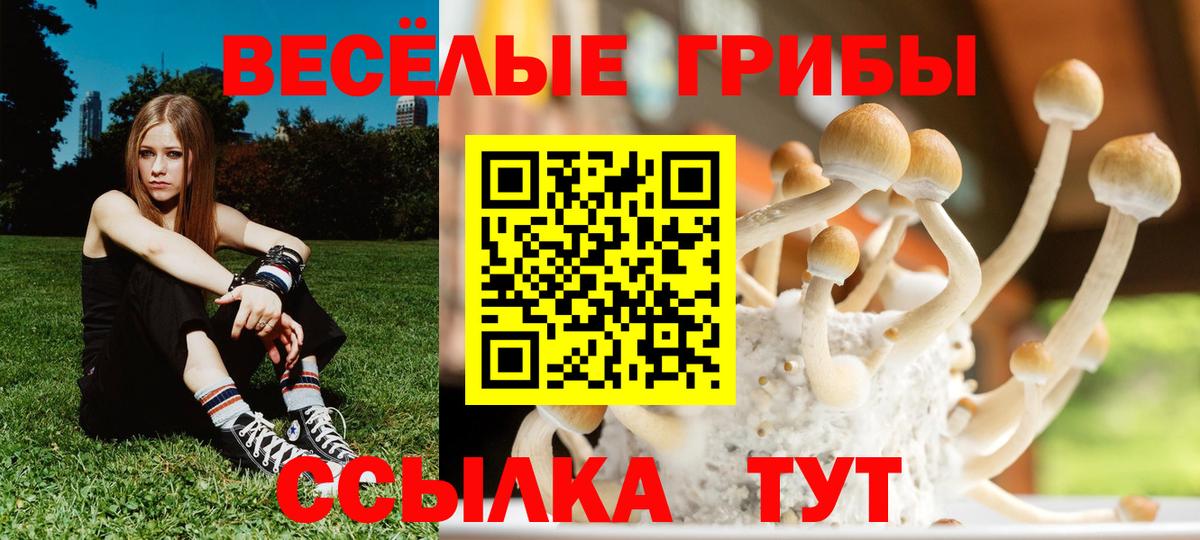 Псилоцибиновые грибы Psilocybe  Вход с VPN  Конаково 