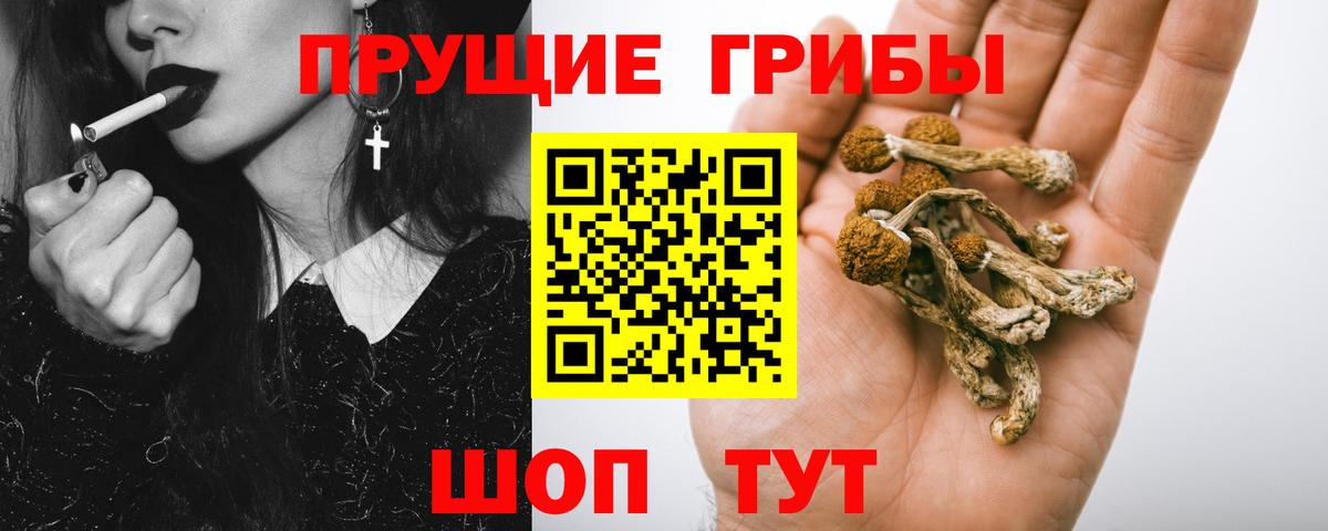 Галлюциногенные грибы мухоморы Конаково
